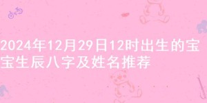 2024年12月29日12时出生的宝宝生辰八字及姓名推荐