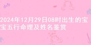 2024年12月29日08时出生的宝宝五行命理及姓名鉴赏