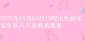 2025年01月04日13时出生的宝宝生辰八字及姓名鉴赏