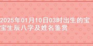 2025年01月10日03时出生的宝宝生辰八字及姓名鉴赏