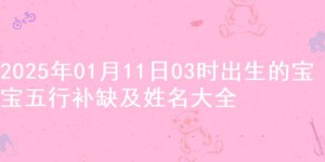 2025年01月11日03时出生的宝宝五行补缺及姓名大全