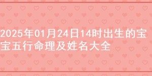2025年01月24日14时出生的宝宝五行命理及姓名大全