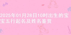 2025年01月28日10时出生的宝宝五行起名及姓名鉴赏