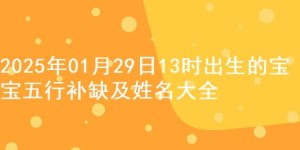 2025年01月29日13时出生的宝宝五行补缺及姓名大全