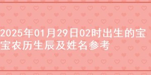 2025年01月29日02时出生的宝宝农历生辰及姓名参考