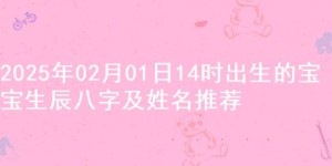 2025年02月01日14时出生的宝宝生辰八字及姓名推荐