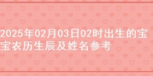 2025年02月03日02时出生的宝宝农历生辰及姓名参考