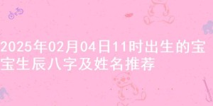 2025年02月04日11时出生的宝宝生辰八字及姓名推荐