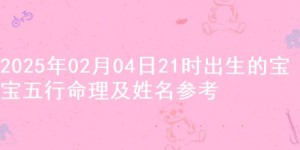 2025年02月04日21时出生的宝宝五行命理及姓名参考