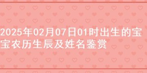 2025年02月07日01时出生的宝宝农历生辰及姓名鉴赏