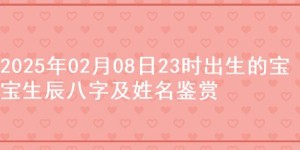 2025年02月08日23时出生的宝宝生辰八字及姓名鉴赏