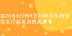 2025年02月09日23时出生的宝宝五行起名及姓名参考