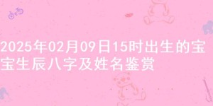 2025年02月09日15时出生的宝宝生辰八字及姓名鉴赏