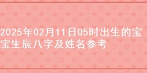 2025年02月11日05时出生的宝宝生辰八字及姓名参考