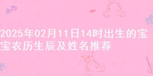2025年02月11日14时出生的宝宝农历生辰及姓名推荐