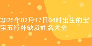 2025年02月17日04时出生的宝宝五行补缺及姓名大全
