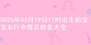 2025年02月19日17时出生的宝宝五行命理及姓名大全