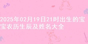 2025年02月19日21时出生的宝宝农历生辰及姓名大全