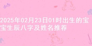2025年02月23日01时出生的宝宝生辰八字及姓名推荐
