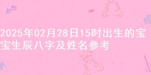 2025年02月28日15时出生的宝宝生辰八字及姓名参考