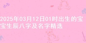 2025年03月12日01时出生的宝宝生辰八字及名字精选