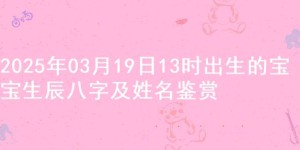 2025年03月19日13时出生的宝宝生辰八字及姓名鉴赏