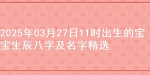 2025年03月27日11时出生的宝宝生辰八字及名字精选