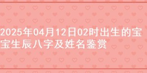 2025年04月12日02时出生的宝宝生辰八字及姓名鉴赏