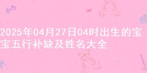 2025年04月27日04时出生的宝宝五行补缺及姓名大全