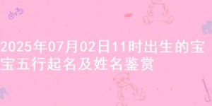 2025年07月02日11时出生的宝宝五行起名及姓名鉴赏