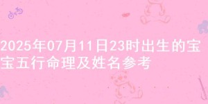 2025年07月11日23时出生的宝宝五行命理及姓名参考