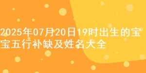 2025年07月20日19时出生的宝宝五行补缺及姓名大全