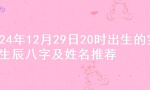 2024年12月29日20时出生的宝宝生辰八字及姓名推荐