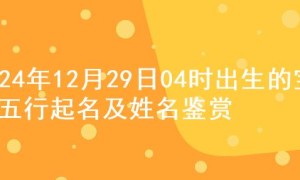 2024年12月29日04时出生的宝宝五行起名及姓名鉴赏