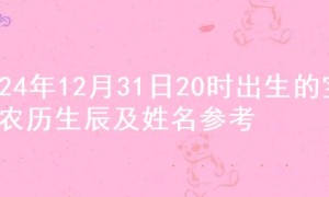 2024年12月31日20时出生的宝宝农历生辰及姓名参考
