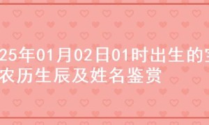 2025年01月02日01时出生的宝宝农历生辰及姓名鉴赏