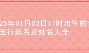 2025年01月02日17时出生的宝宝五行起名及姓名大全