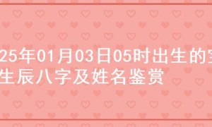 2025年01月03日05时出生的宝宝生辰八字及姓名鉴赏