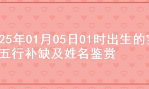 2025年01月05日01时出生的宝宝五行补缺及姓名鉴赏