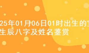2025年01月06日01时出生的宝宝生辰八字及姓名鉴赏