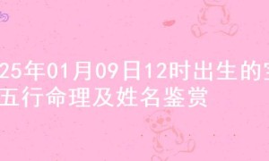 2025年01月09日12时出生的宝宝五行命理及姓名鉴赏