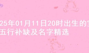 2025年01月11日20时出生的宝宝五行补缺及名字精选