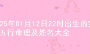 2025年01月12日22时出生的宝宝五行命理及姓名大全