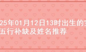 2025年01月12日13时出生的宝宝五行补缺及姓名推荐