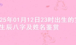 2025年01月12日23时出生的宝宝生辰八字及姓名鉴赏