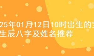 2025年01月12日10时出生的宝宝生辰八字及姓名推荐