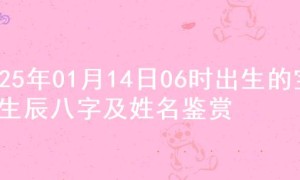 2025年01月14日06时出生的宝宝生辰八字及姓名鉴赏