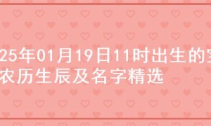 2025年01月19日11时出生的宝宝农历生辰及名字精选