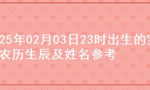 2025年02月03日23时出生的宝宝农历生辰及姓名参考