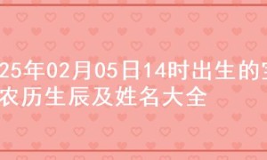 2025年02月05日14时出生的宝宝农历生辰及姓名大全